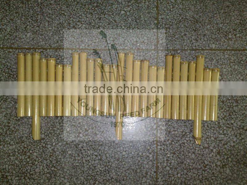 bamboo reed fencing