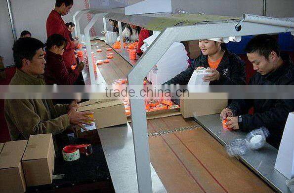 PBT HOLLOW FILAMENT FOR BRUSH