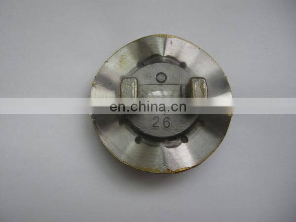096230-0260 VE Pump Cam disc