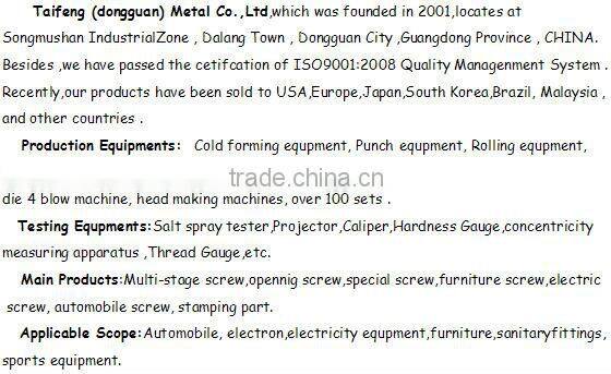 flat head screw with silicon bronze and titanium screw