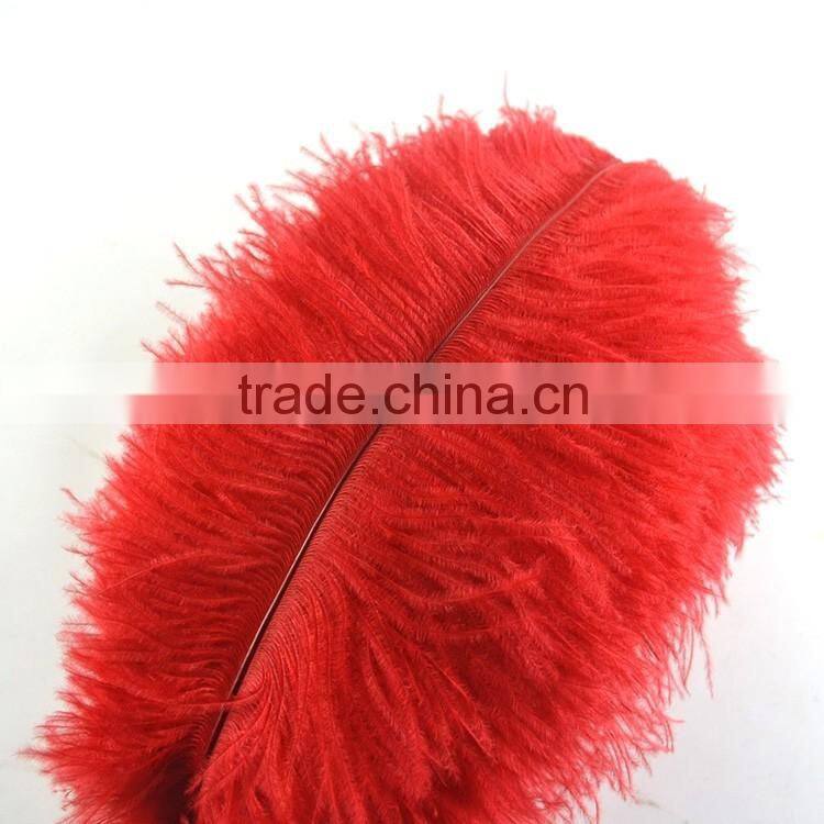 New Style Natural 10-12 Inch Ostrich plumes for party Decorations