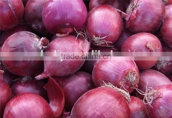 Low price ginger crusher and presser