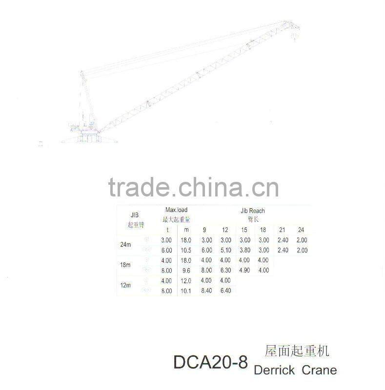 TCD2420A(8) derrick crane