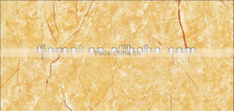 240X660mm competitive price inkjet Tiles