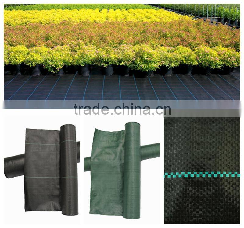 PP ground cover for sale with CE certification