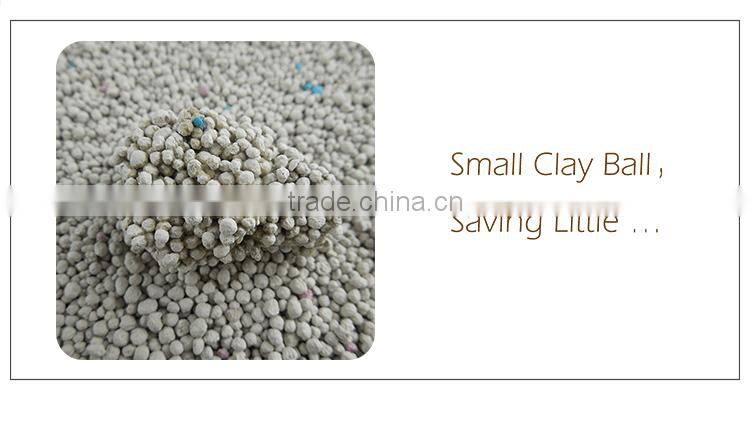 Non Tracking Kittens Sand