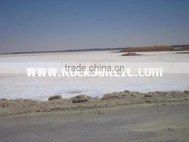 Ice melt Salt 98-99% NACL for snow applications (EGYPT origin - sgs certificate - white color)