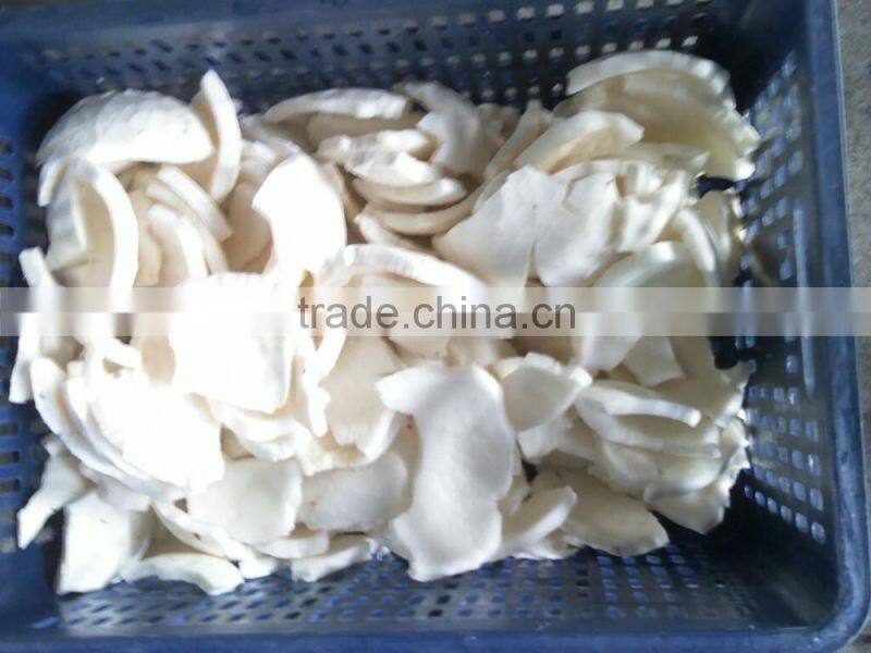coconut shell powder grinding machine /ccoconut shell powder grinding machine price