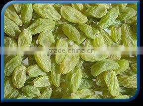 Green Raisin