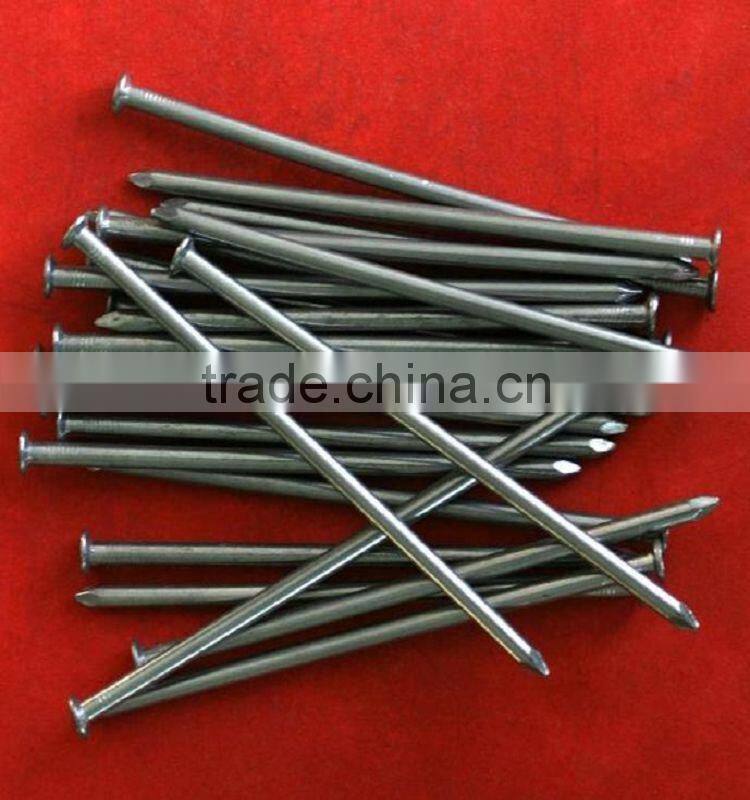 bright common nails,polish common iron nail