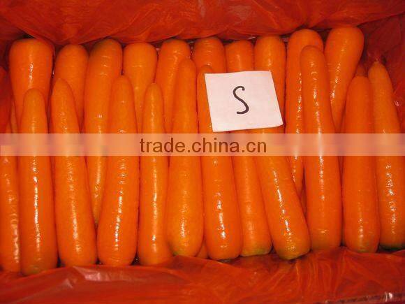 Juyuan Carrots