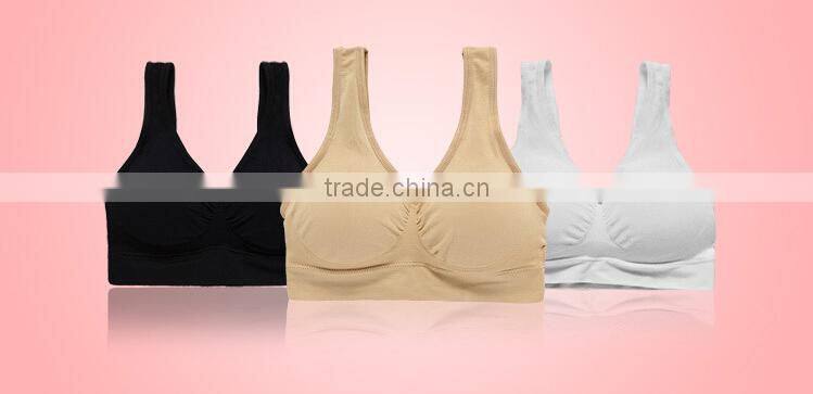 XXXL Hot Sexy Women Seamless Padded Athletic Yoga Running Sports Bra Crop Tank Top Vest Wholesale