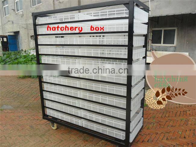 Digital Automatic Large egg incubadoras For Sale