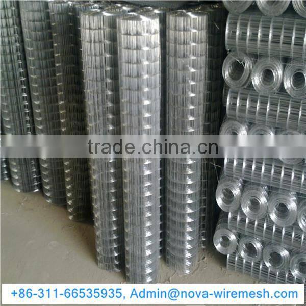 Chicken Coop welded mesh / Welded wire mesh mew product / Welded wire mesh for birds cage