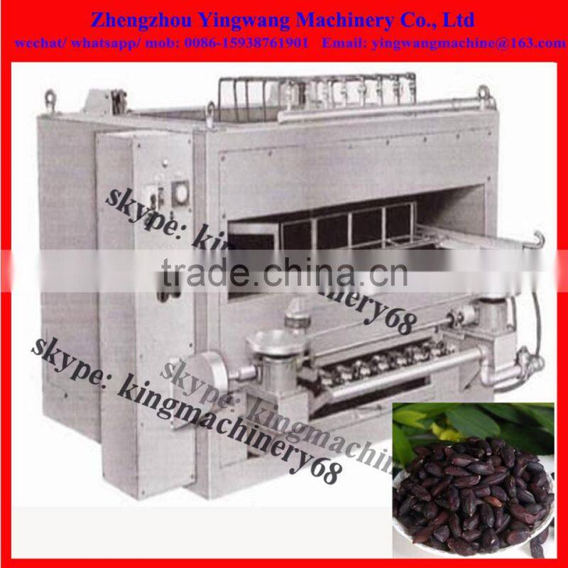 chocolate peanuts flavouring production line 0086-15938761901