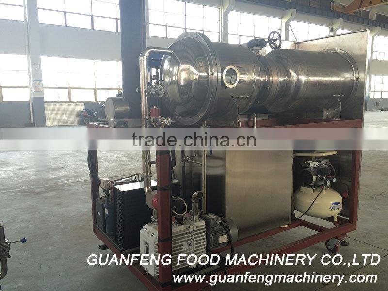 Quality Warranted Food Processing Machinery Fruit Lab Vacuum Freeze Dryer