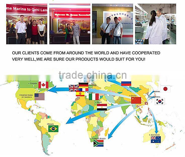 Hot wholesale sunflower type 600W high eneegy indoor grow light