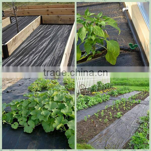 woven weed control fabric to England