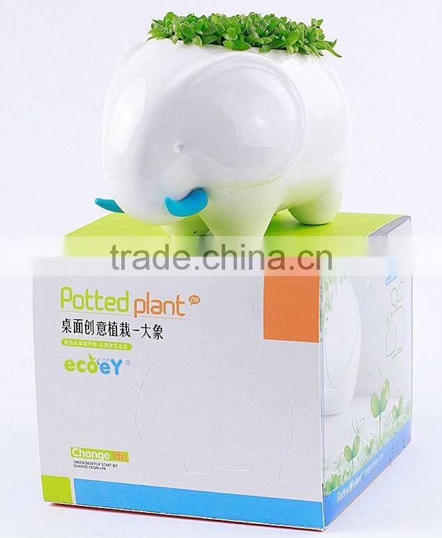 Supply fashion Creative animal plant - elephant