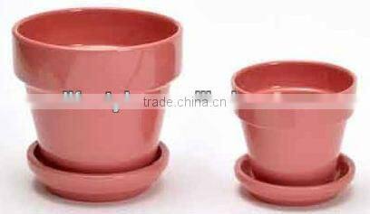 Eyeable Cup & Saucer Ceramic Flower Pot