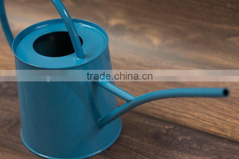 Blue color indoor watering can