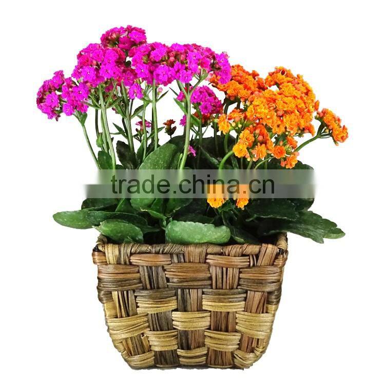 Imitation water hyacinth square box flowerpot hand woven garden planter
