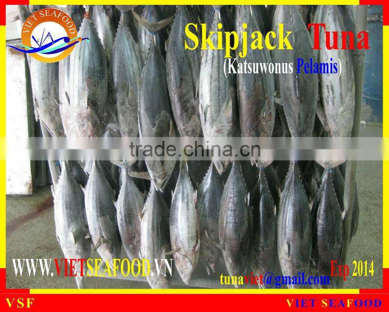 FROZEN W/R SKIPJACK TUNA