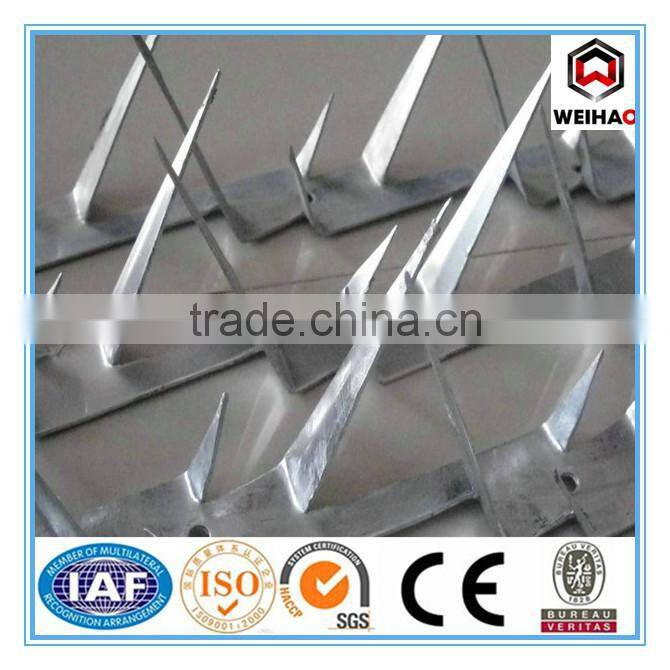 Good Quality High Security Anti Climb Wall Spikes