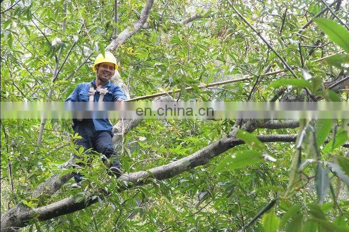 Coffee Bean Combine Harvester for Sale
