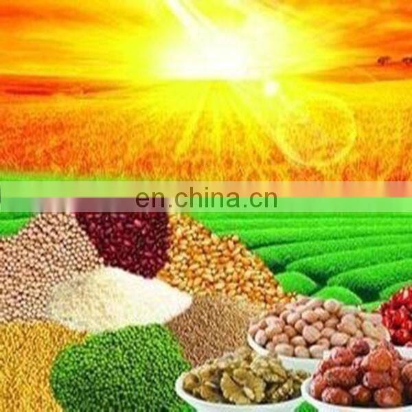 Cost effective High-efficiency grinder mill for dry and wet material