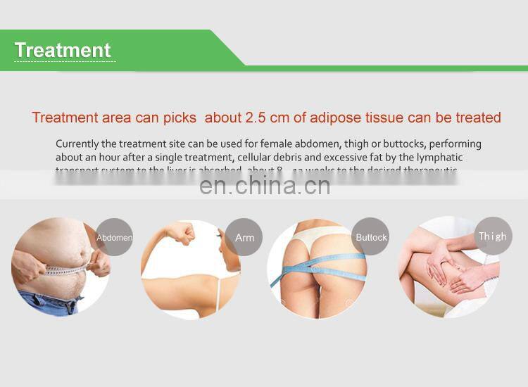 Renlang vertical liposonic slimming machine for body/Waist weight lost with 8mm and 13mm head