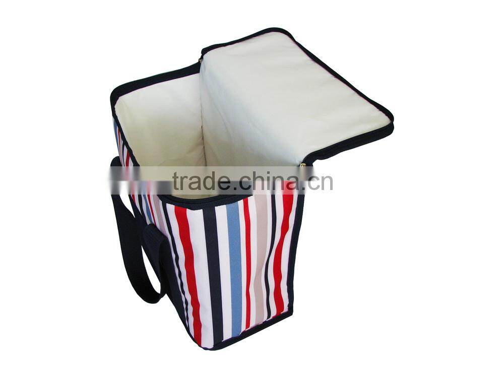 Cooler Bag