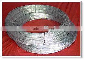 hot saled galvanized wires