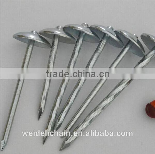 Fastener manufacturer corrugated sheet iron roofing nail