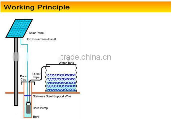High Quality with Best Price 24V DC Solar Water Pump System, Solar Water Pump Price