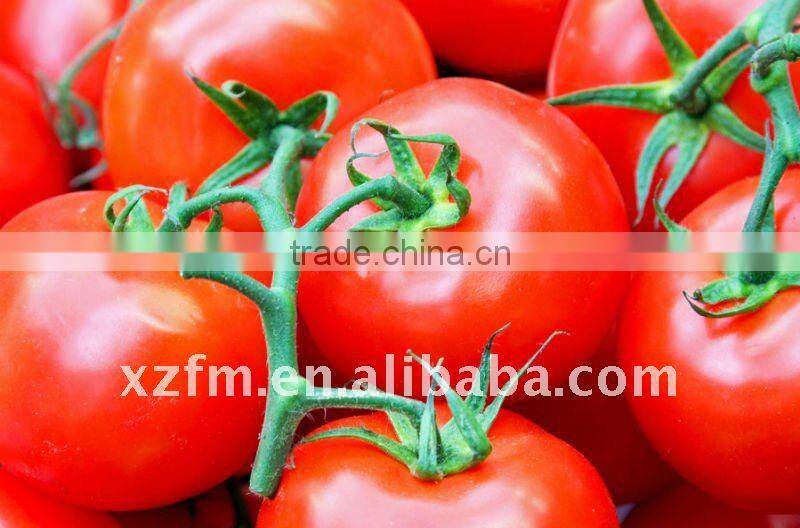 tomato paste in pouch