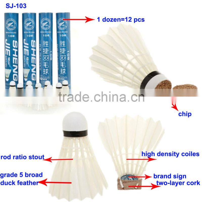 Duck Feather Shuttlecock Aeroplane Training Badminton