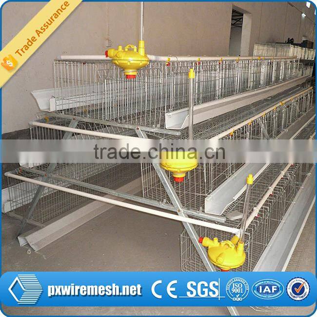 chicken farm equipment