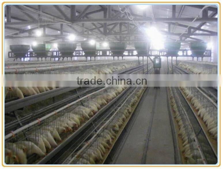 4 tier wire mesh chicker cage,layer chicken cage for sale