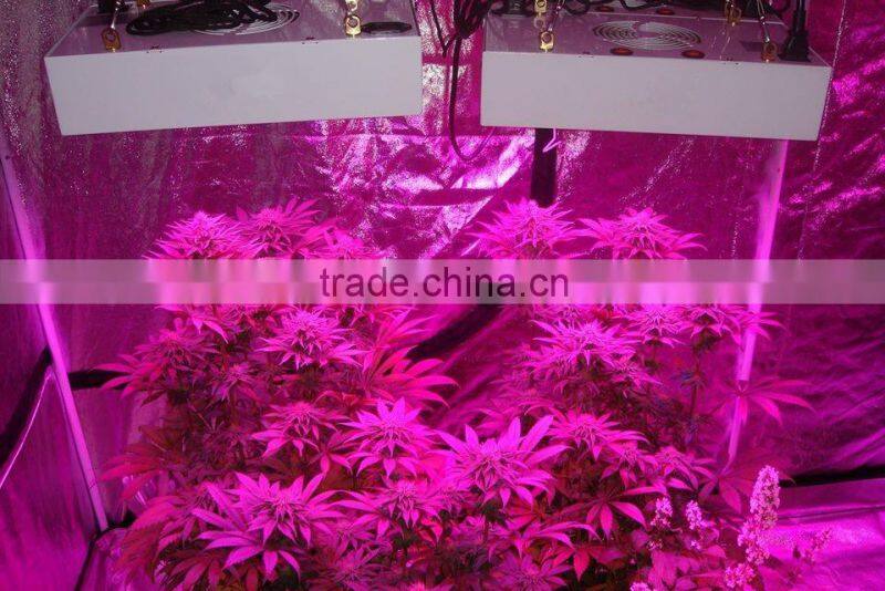 Alibaba best sellers full spectrum 300W led grow lights