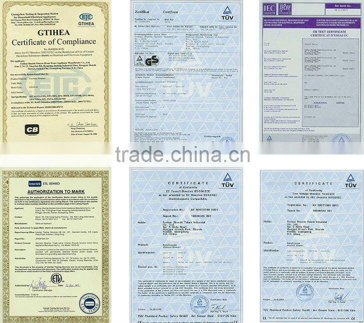 GS18-DJ Popular Electric Garment Steamers Blue