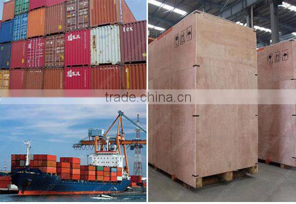 industrial plant used customized pvc conveyor belt conveyor