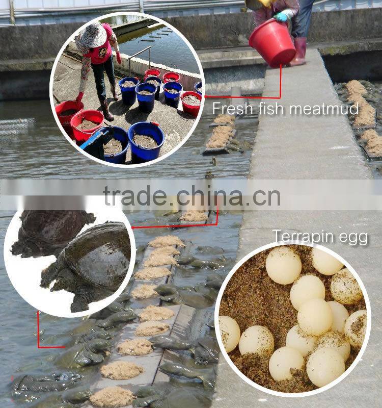 Taiwan Natural health Essence of Terrapin drink fine nutrition