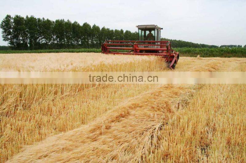 100% pure Canadian malt barley supplier