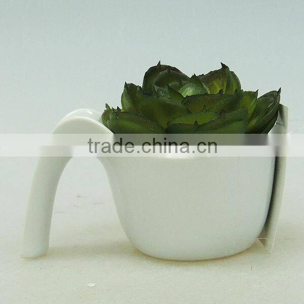 beauty plastic pot succulents for home decoration