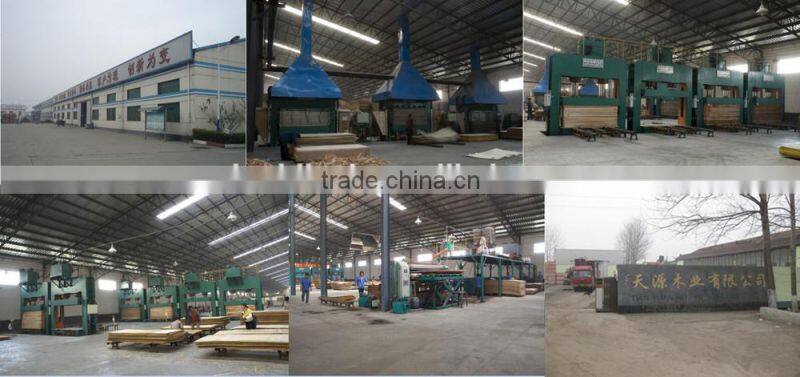 28mm container flooring plywood manufacturer China