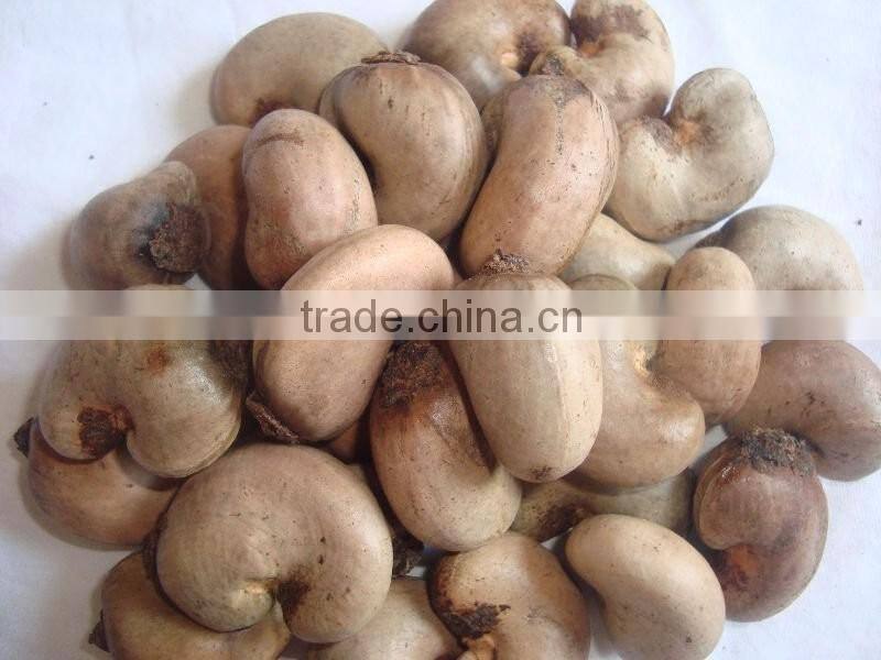 Raw Dried Cashew Nut/Cashew nuts in Africa