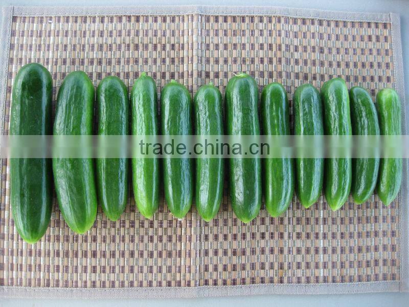 Hana F1 Hybrid Cucumber Seeds