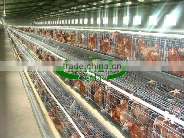galvanized battery Hen Houses for 96 /120 chicken