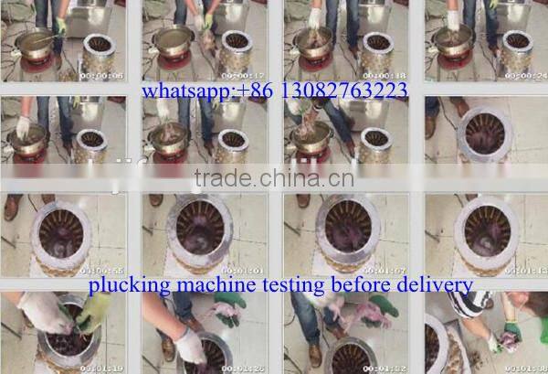 drum type stainless steel pigeon feather plucker